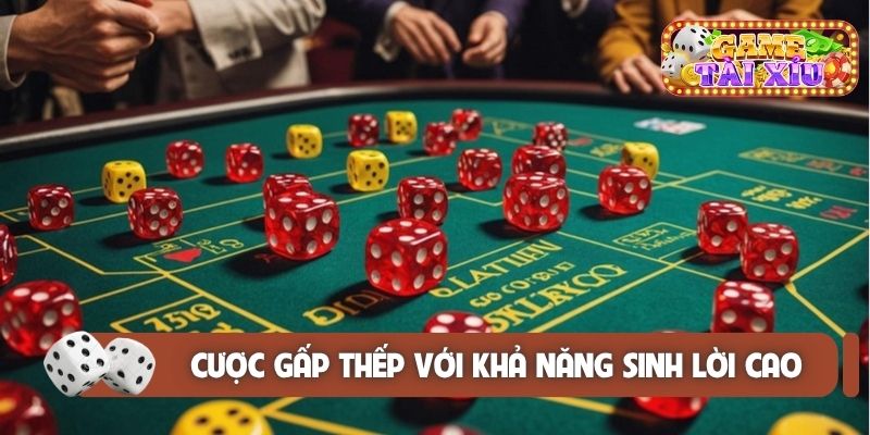 Cược gấp thếp với khả năng sinh lời cao